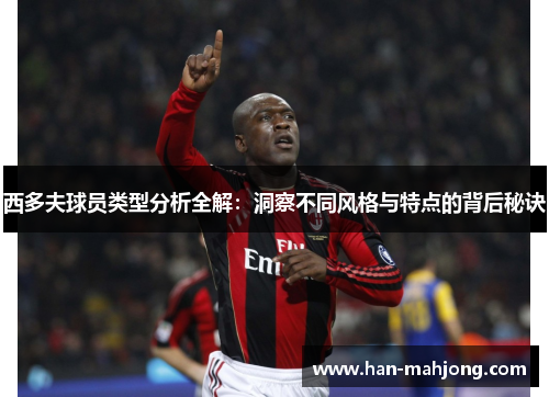 西多夫球员类型分析全解：洞察不同风格与特点的背后秘诀
