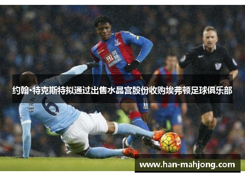 约翰·特克斯特拟通过出售水晶宫股份收购埃弗顿足球俱乐部