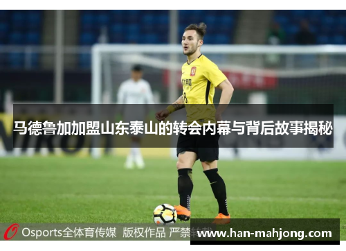 马德鲁加加盟山东泰山的转会内幕与背后故事揭秘 马德鲁加加盟山东泰山的转会内幕与背后故事揭秘
